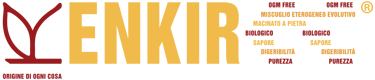 Logo Enkir
